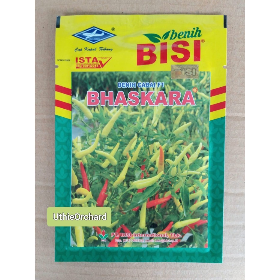 BENIH BISI (CAP KAPAL TERBANG) - CABE RAWIT BHASKARA F1 10 GR