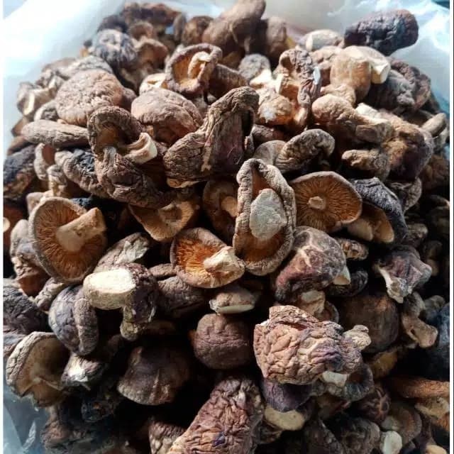 

Jamur Shitake (250G) Hioko / Hio Kou / Dried Mushroom Kering / Hiokou