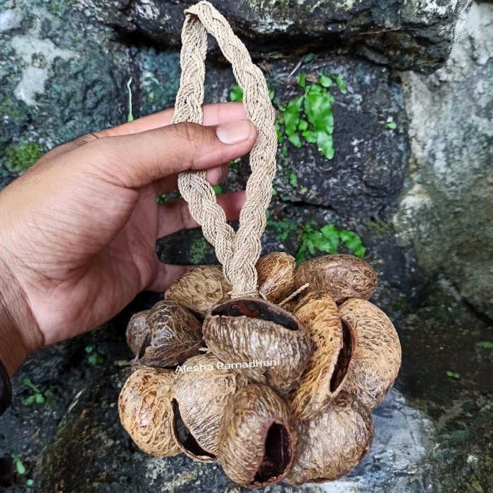 TERBATAS Alat Musik Tradisional Marakas Kluwek Rencek / Perkusi