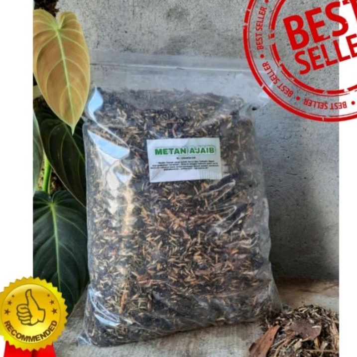 Promosi SpesialK0w0V MEDIA TANAM POROUS  ( METAN SUPER AJAIB ) 1KG isi banyak TERBUKTI SUBUR SEMUA T