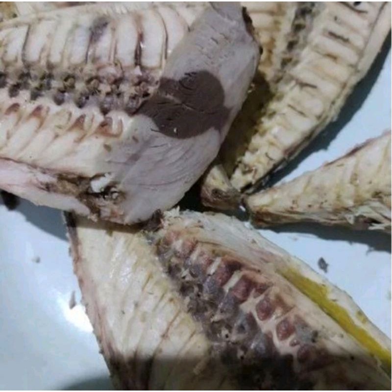 Ikan cue tongkol cakalang potong