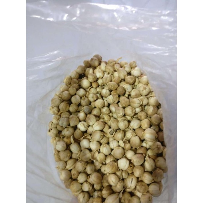 

jen Kapulaga / Cardamon / Kapol 1 KG