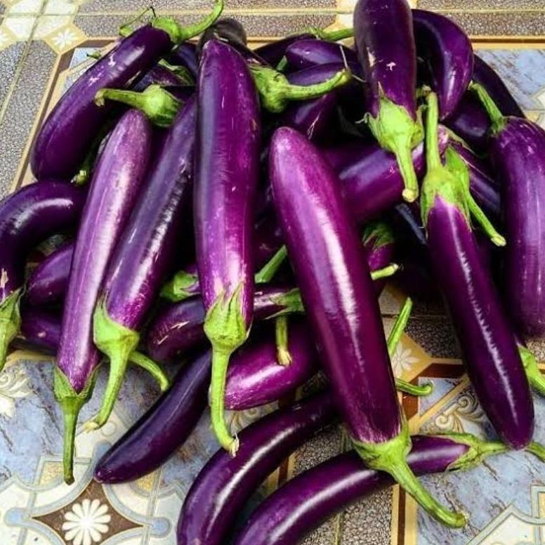 

SAYUR TERONG UNGU LOKAL PREMIUM QUALITY