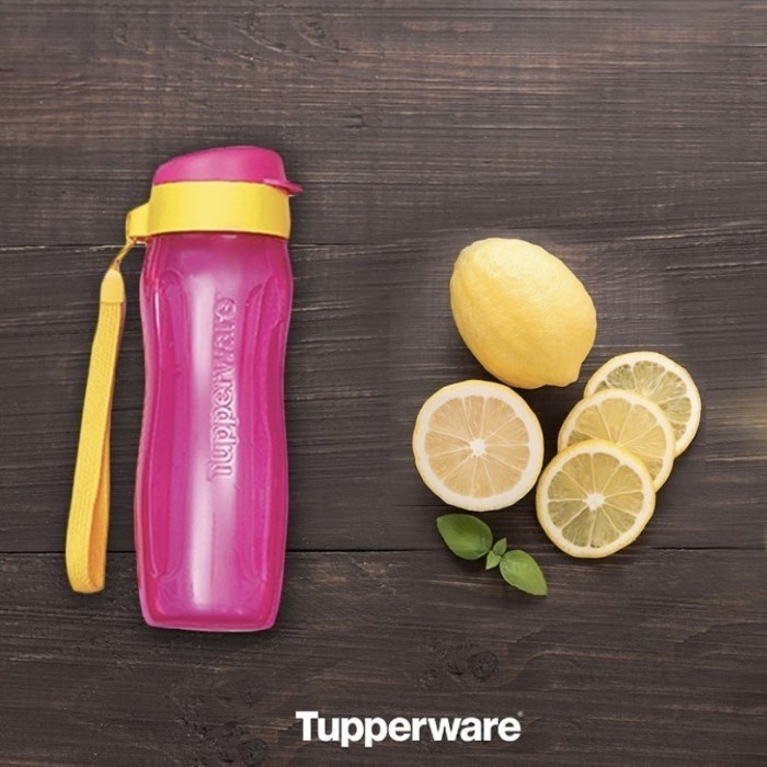 Botol Minum 500 Ml Tupperware Eco Fancy Bottle Bestseller Bekal