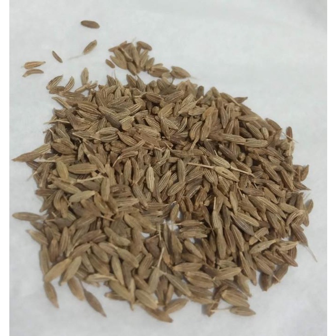 

.........] Jintan India Jeera Zeera 100 gram
