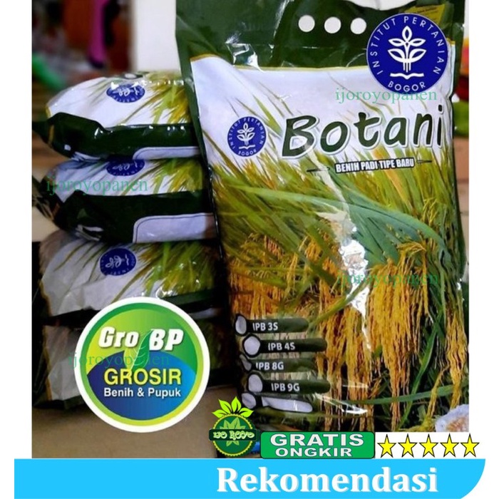BENIH PADI IPB 3S original 5KG UNGGUL MURAH PREMIUM