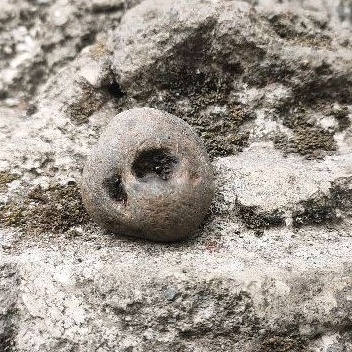 Batu mustika tapa di dalam batu sir alam asli temuan sepuh kuno antik pusaka