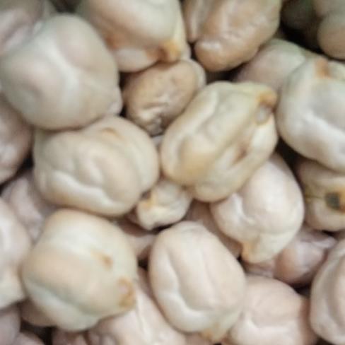 

=====] Kacang Garbanzo - Hummos