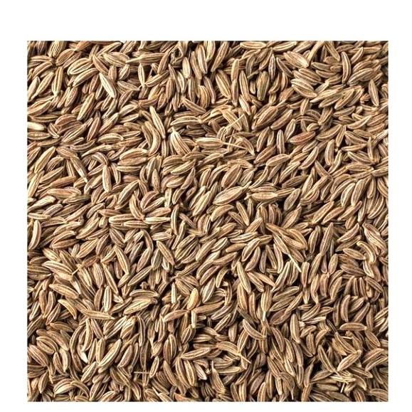 

:>:>:>:>] Zeera jeera jintan 50 gr