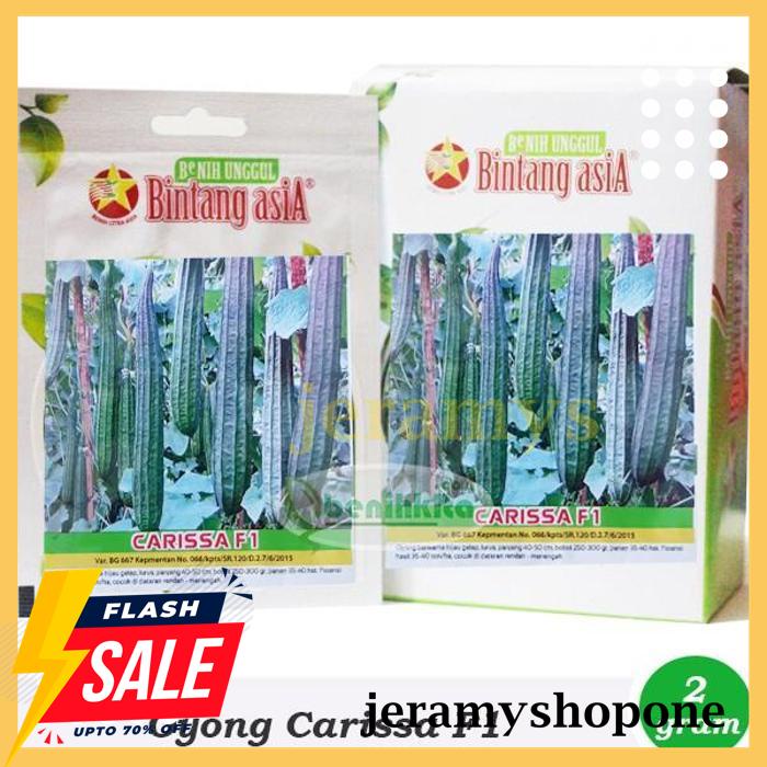 PAKET HEMAT BENIH-BIBIT OYONG CARISSA F1 (BINTANG ASIA) 
