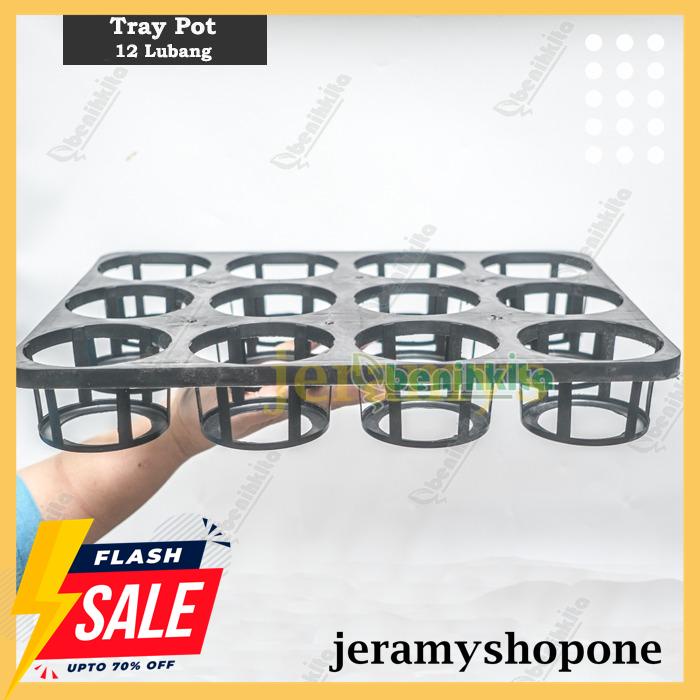 TERBARU TRAY SEMAI/POT TRAY BIBIT ANGGREK 12 LUBANG 