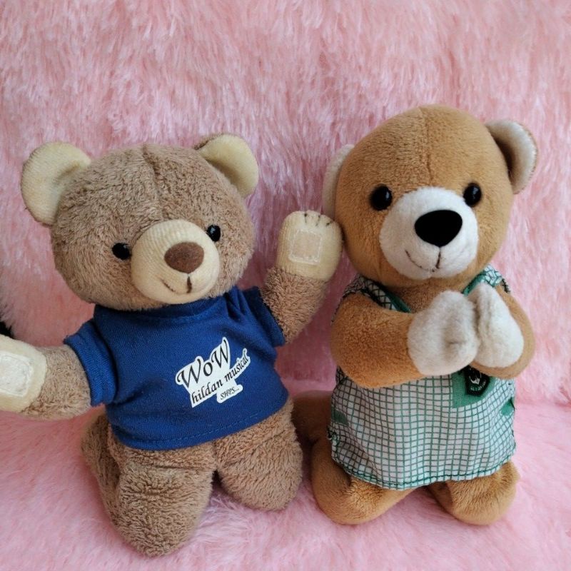boneka Teddy Tedy tedi bear beruang berdoa kostum biru blue hijau green