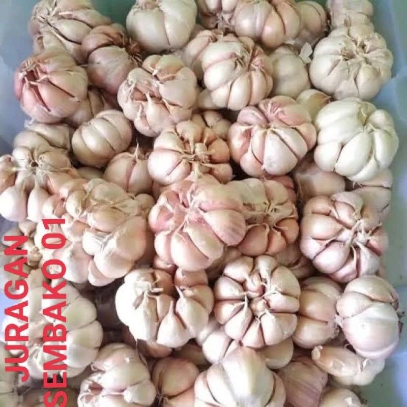

BAWANG PUTIH 1 KG
