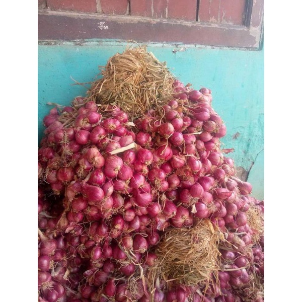 

bawang merah asli probolinggo