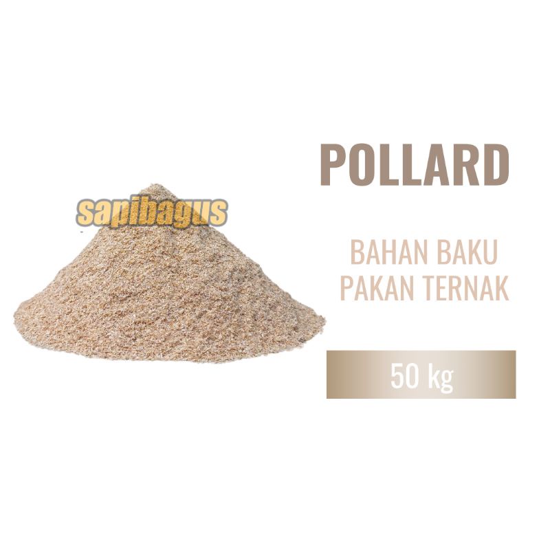 Pollard Gandum cap angsa