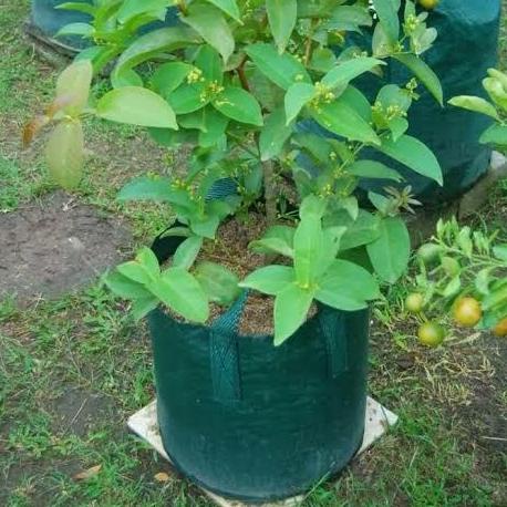 ] planter bag 50 liter