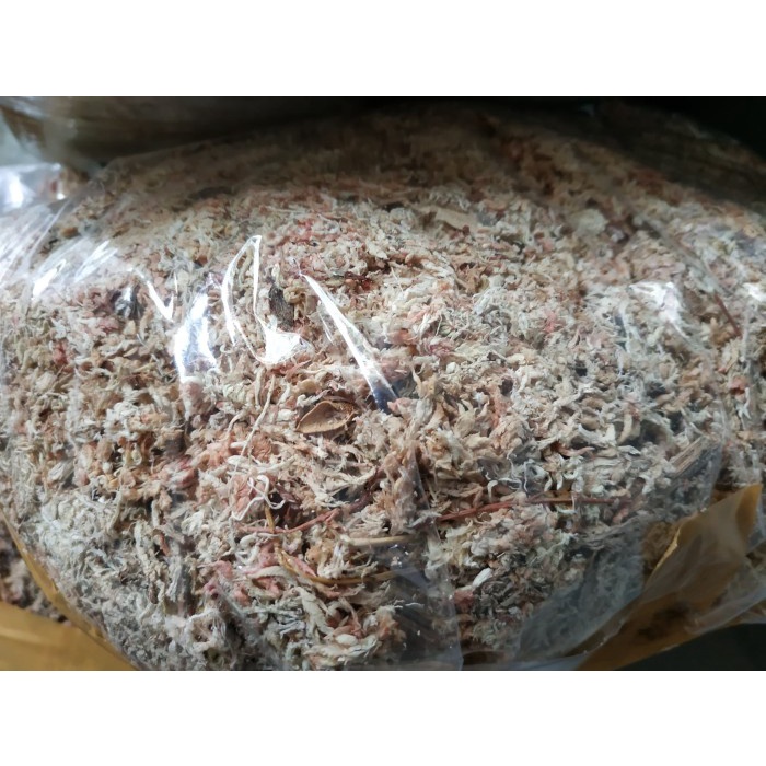 Sphagnum Moss Chille 200 Gram / Sphagnum moss Chile 200 gram
