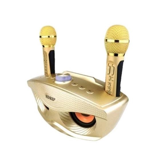 SPEAKER WIRELESS FLECO SDRD 306 - SPEAKER BLUETOOTH DENGAN 2 MICROFON WIRELESS