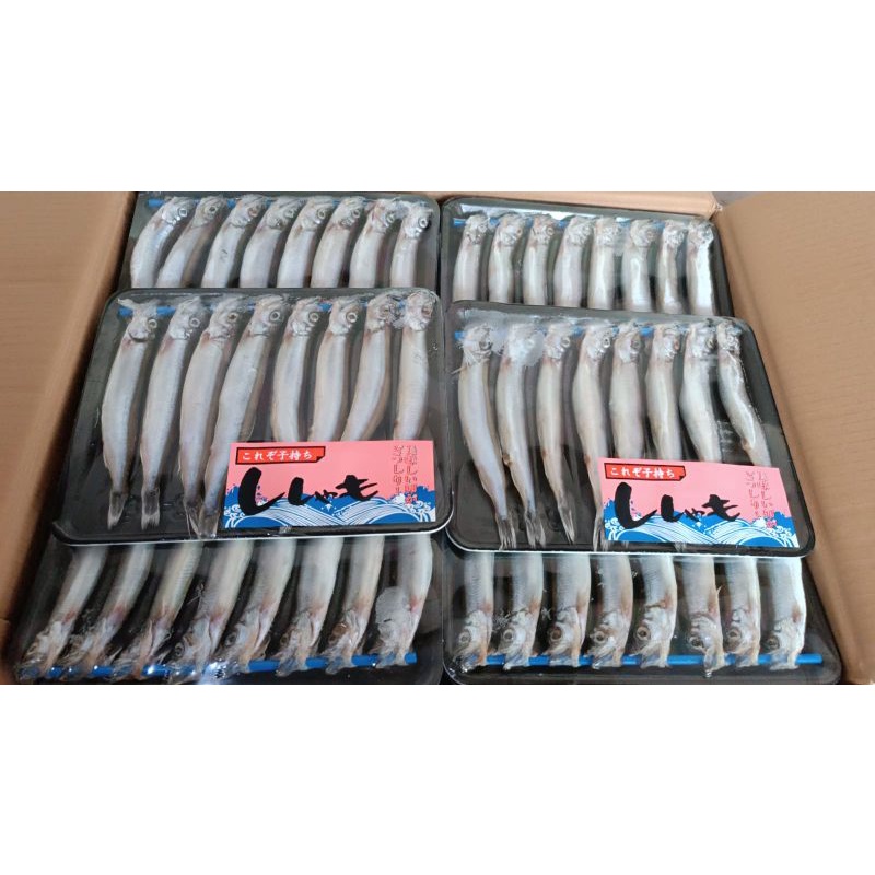 Ikan Capelin Ikan Shisamo Ikan Telur Ikan Cipung 8Pcs