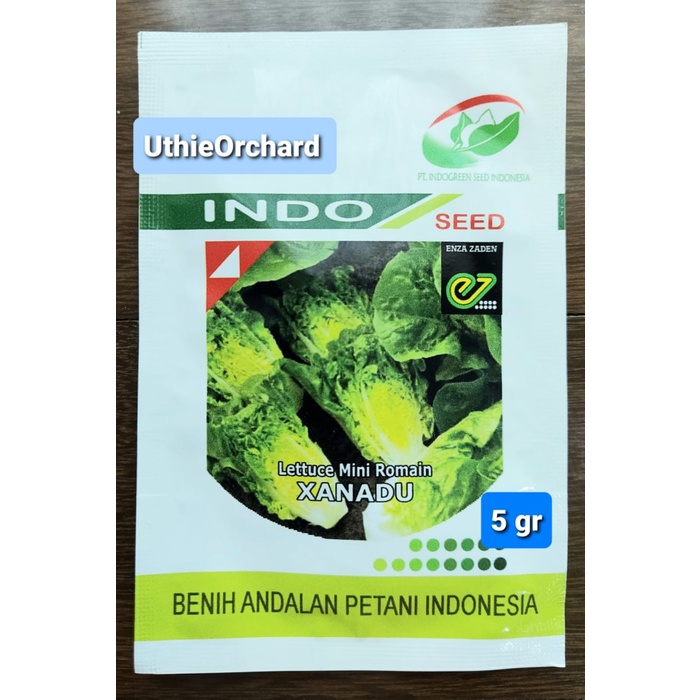 Benih Indo Seed Enza Zaden - Selada Mini Romaine Xanadu 5 gr