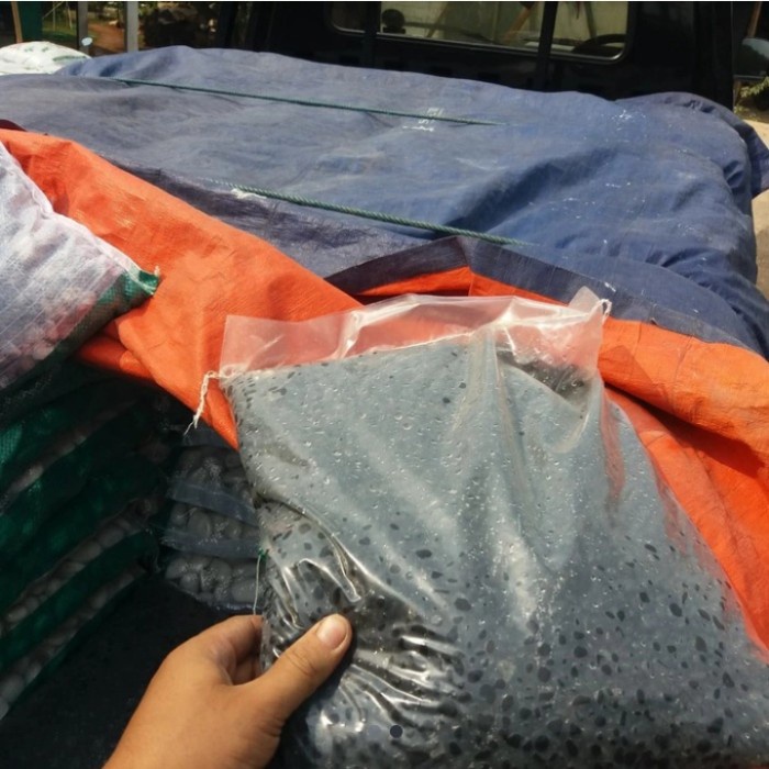 Danil Batu Sikat Alor Hitam