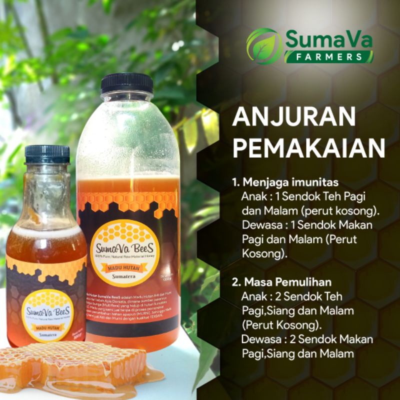 

Madu Hutan Madu Madu Murni Madu Liar "SumaVa BeeS