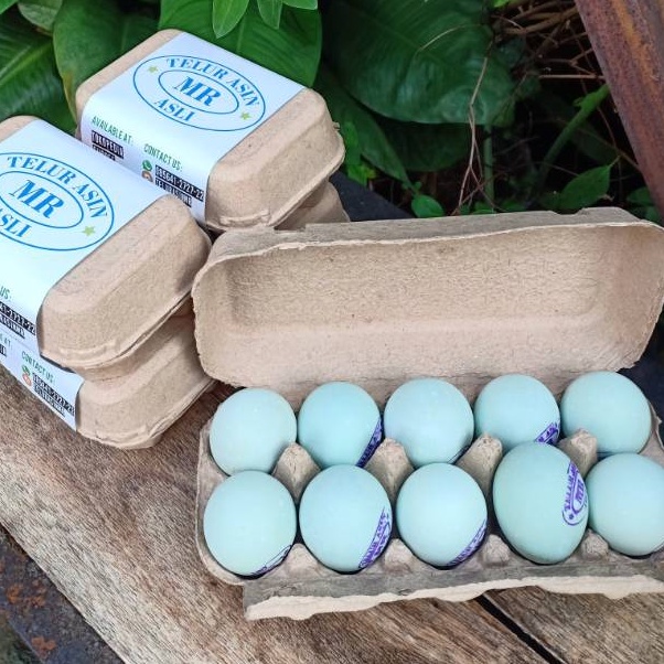 

Super Promo Paket Telur Asin MR isi 10 Harga Promo
