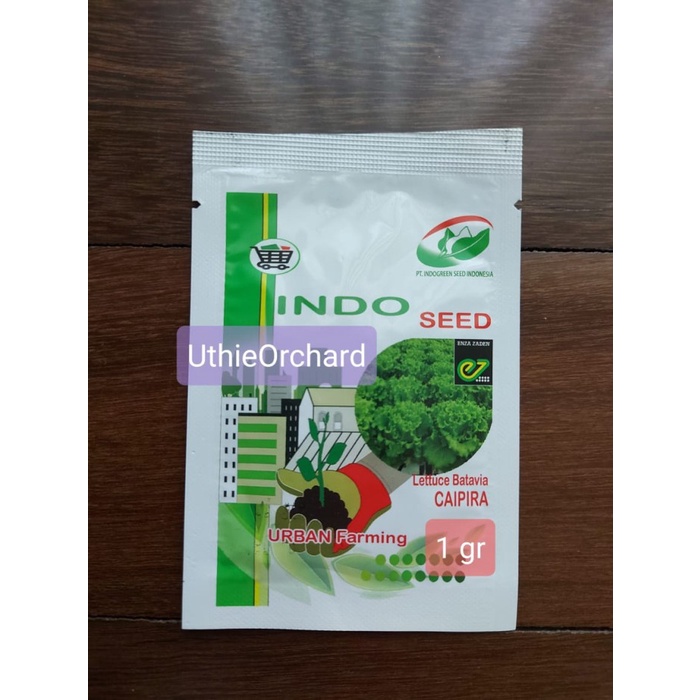 Benih Indo Seed Enza Zaden - Selada Batavia Caipira Kemasan Asli 1 gr