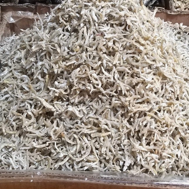 

IKAN TERI MEDAN PREMIUM 250 GRAM TIDAK ASIN ENAK HALAL TOPING MASAKAN