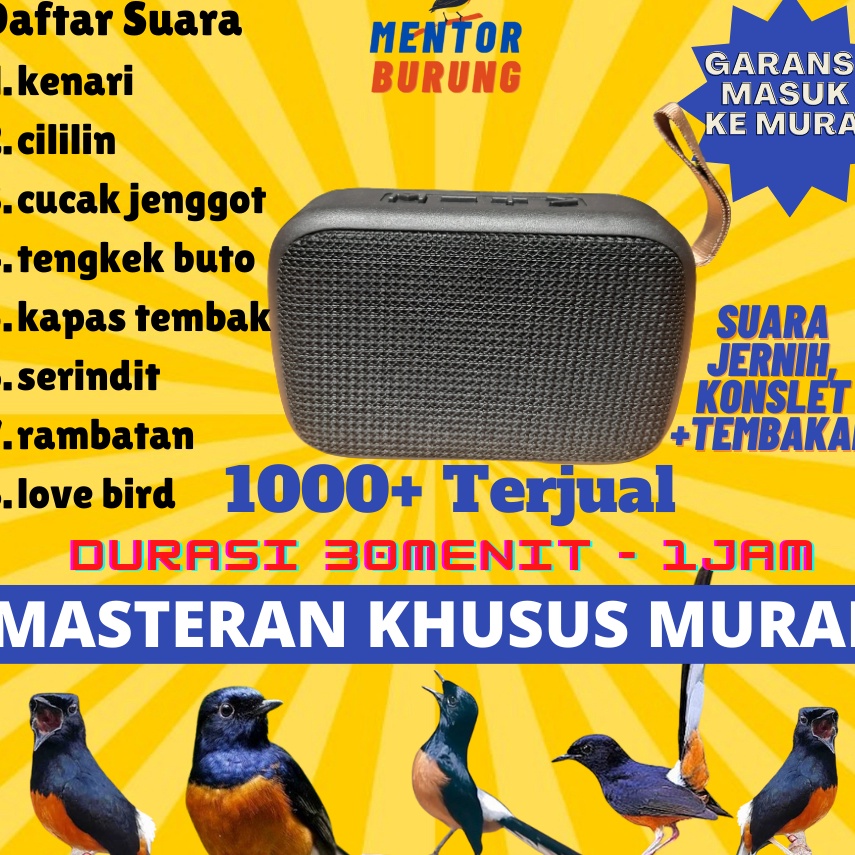 [⁂E3/] Masteran Mp3 Khusus Burung Murai Batu Air Betina Pikatan Borneo Hutan Trotolan Burung Kicau S