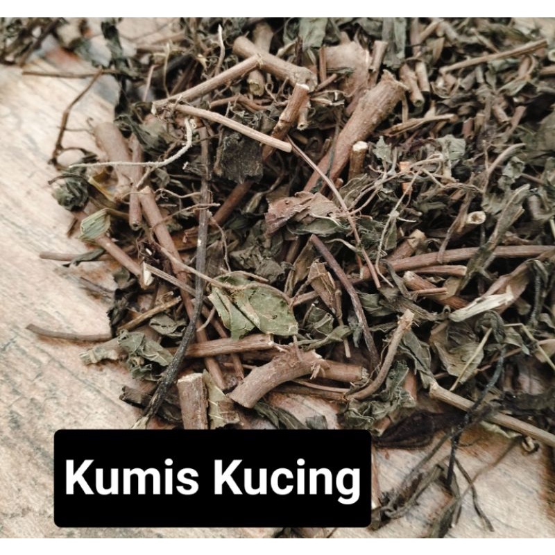 

Kumis Kucing