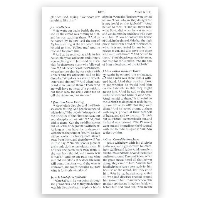 (Ready) Esv Holy Bible For Kids, Large Print Hardcover Murah