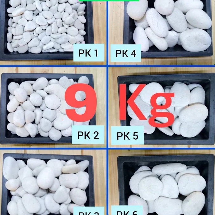 (S92㊛) BATU HIAS KORAL PUTIH KUPANG (9 KG 1 KARUNG) MURMER.