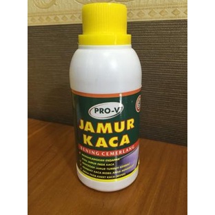 

Pro-V Jamur Kaca Best Seller
