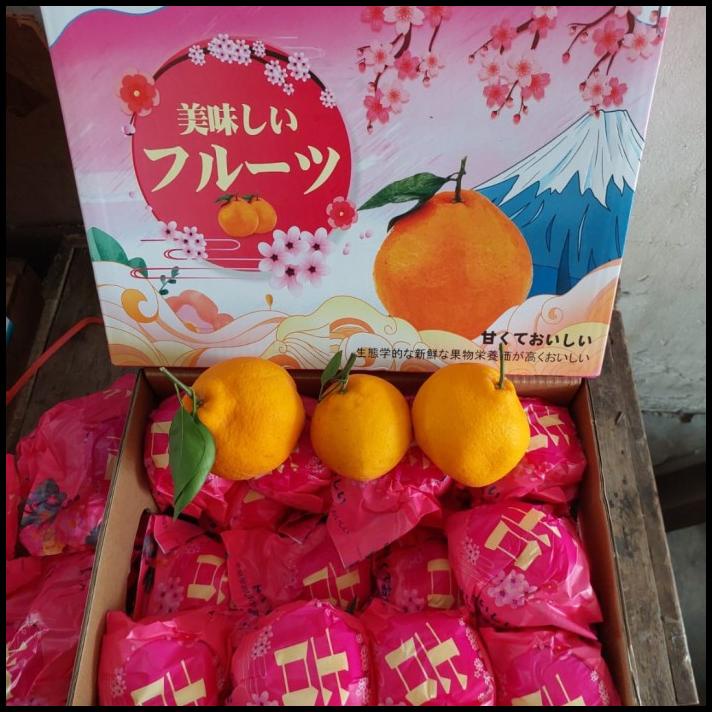 

TERBARU BUAH JERUK DEKOPON MANIS ISI 18-20 PIS/ JERUK IMPORT NO BIJI/ KADO