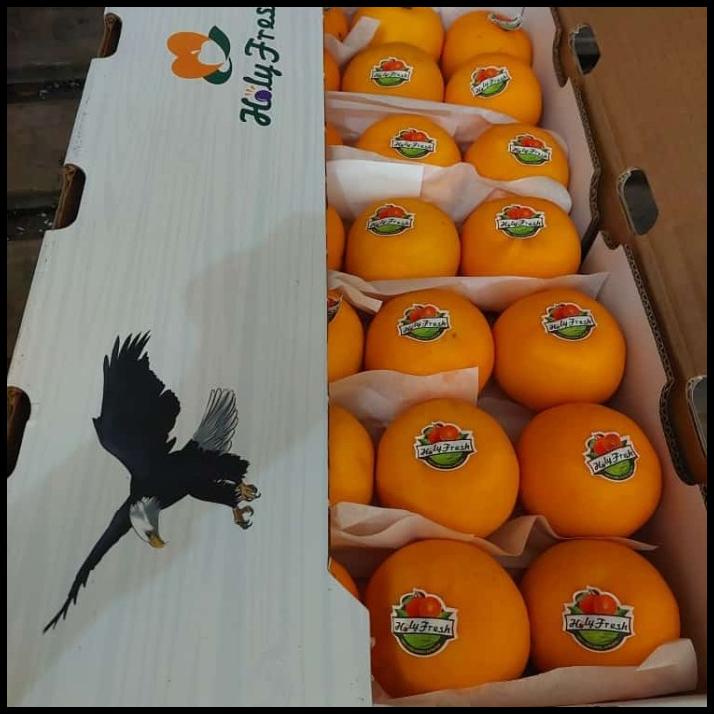 

TERMURAH BUAH JERUK WOKAM HOLY FRESH ISI 9 KG/ JERUK IMPORT FRESH/ KADO !!!!!!!