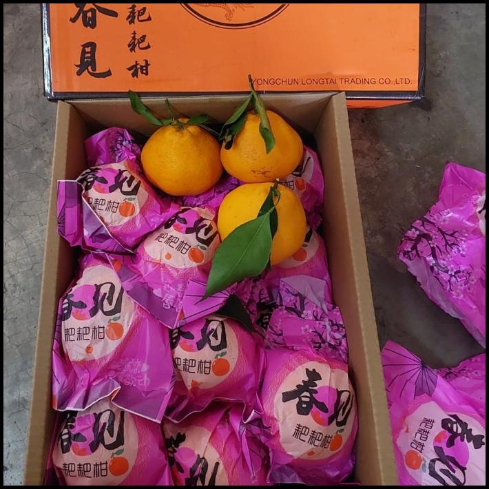 

TERBARU BUAH JERUK DEKOPON UK XL ISI 18-20 P/ JERUK IMPORT/ KADO !
