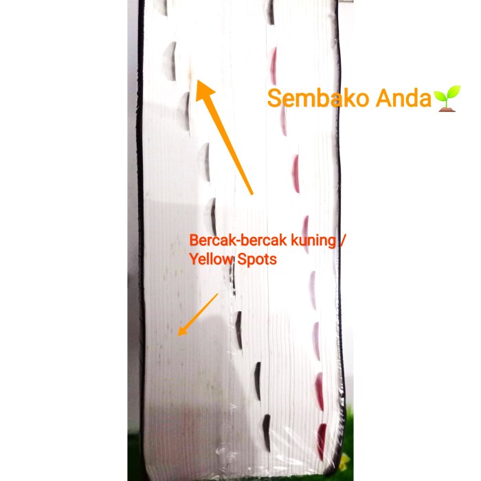 

PR0M0 Alkitab 2 bahasa Inggris Indonesia. Today's English Version-BIMK