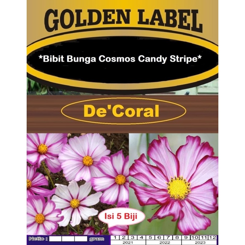 Bibit Bunga Cosmos Candy Stripe|Benih Bunga Cosmos Candy Stripe |Aster