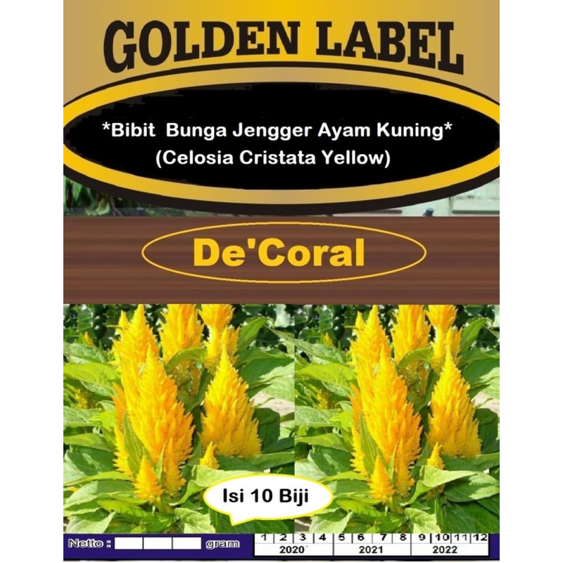Bibit Bunga Jengger Ayam Kuning | Benih Bunga Jengger Ayam Kuning