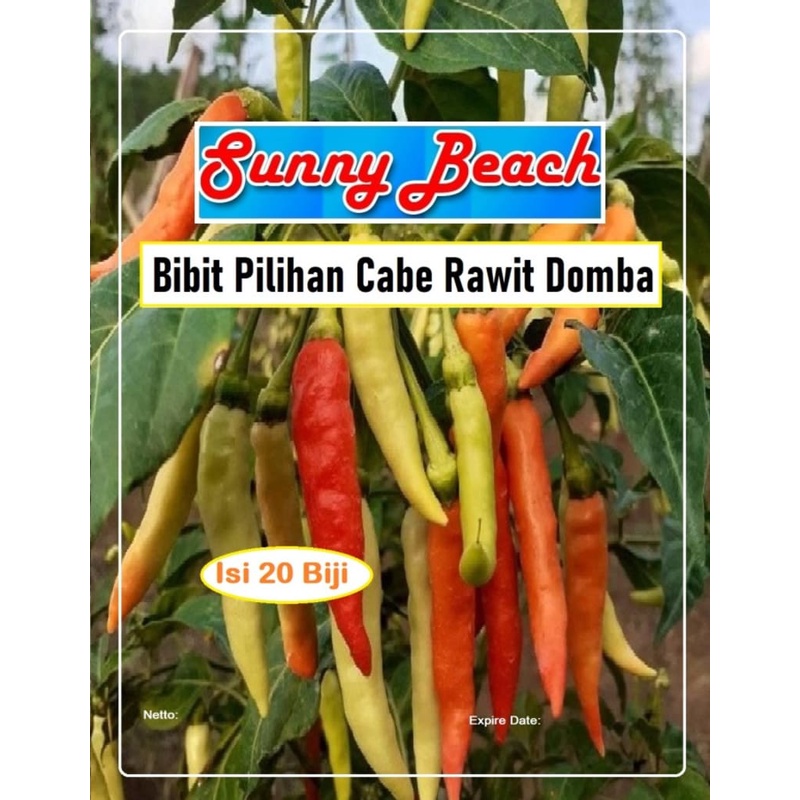 Bibit Pilihan Cabe Rawit Domba|Benih Cabe Rawit Domba|Cengek Domba
