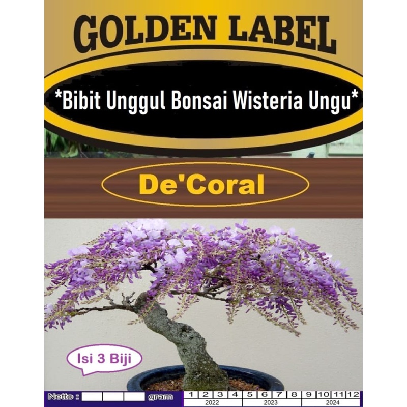 Bibit Unggul Bonsai Wisteria Ungu|Benih Bonsai Wisteria Ungu|Bonsai