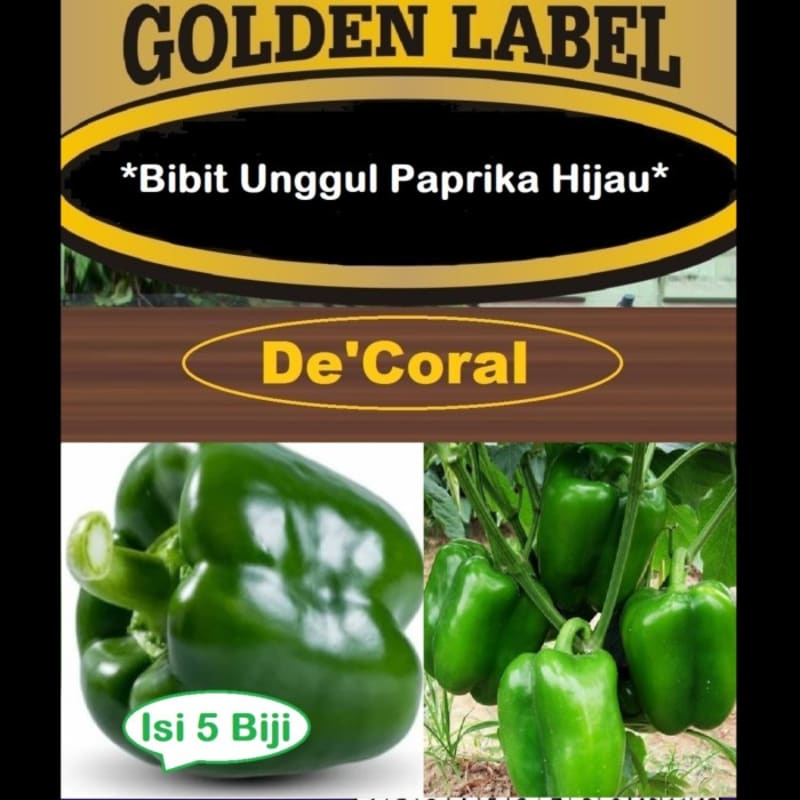 Bibit Unggul Paprika Hijau | Benih Paprika Hijau | Bibit Paprika Hijau