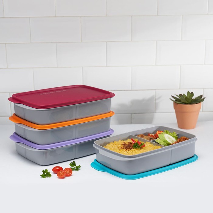 TUPPERWARE COOL TEEN LUNCH BOX DIVIDED LUNCH BOX 1PCS