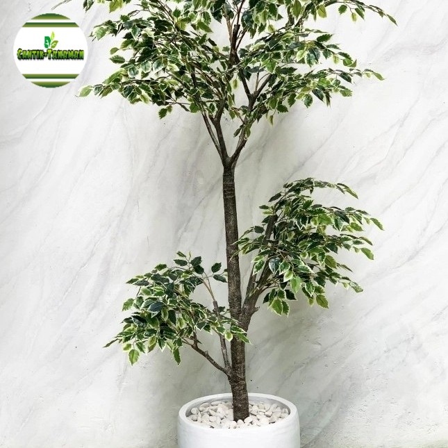 [Original] Tanaman Hias Pohon Artifical Minificus Tinggi 2 Meter Pohon Plastik Berkualitas