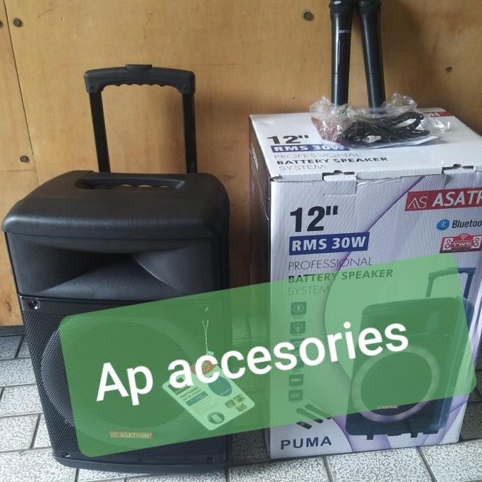 Speaker portable 12 inch Asatron PUMA Speaker bluetooth Meeting