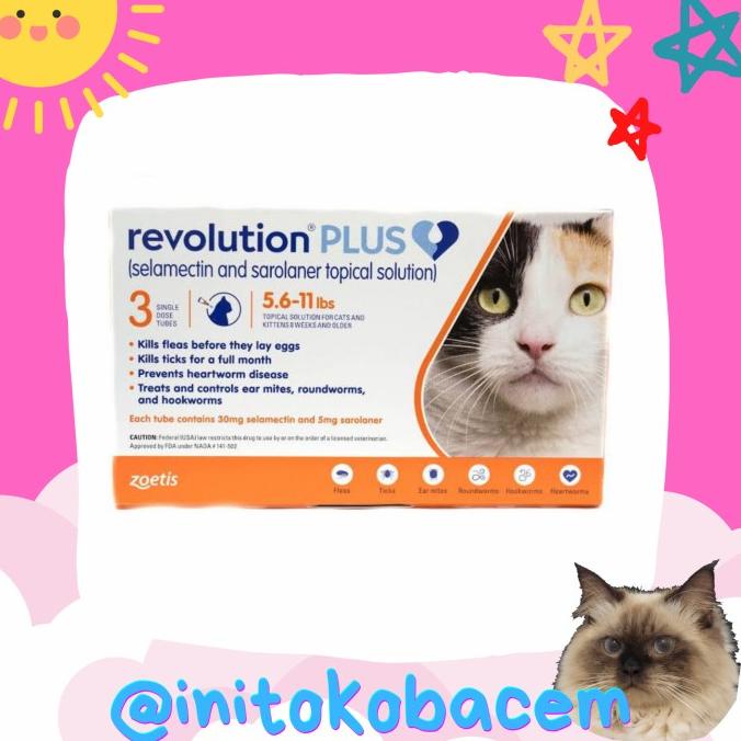 Revolution Cat Plus Orange Tube FRESHPACK