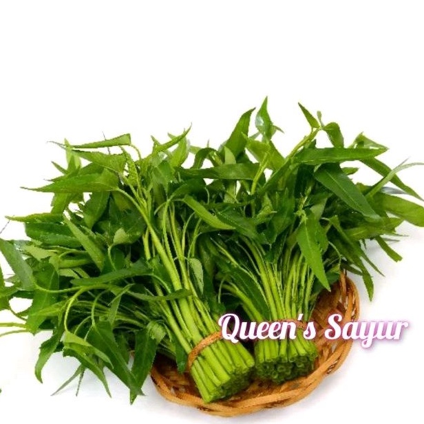 

Sayur Kangkung Segar 1 Ikat