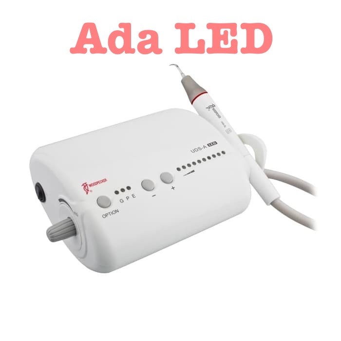 Halodent Dental Scaler Woodpecker LED -Tatasie