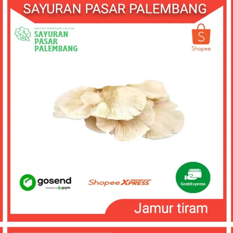 

Jamur Tiram - Sayuran Pasar Palembang